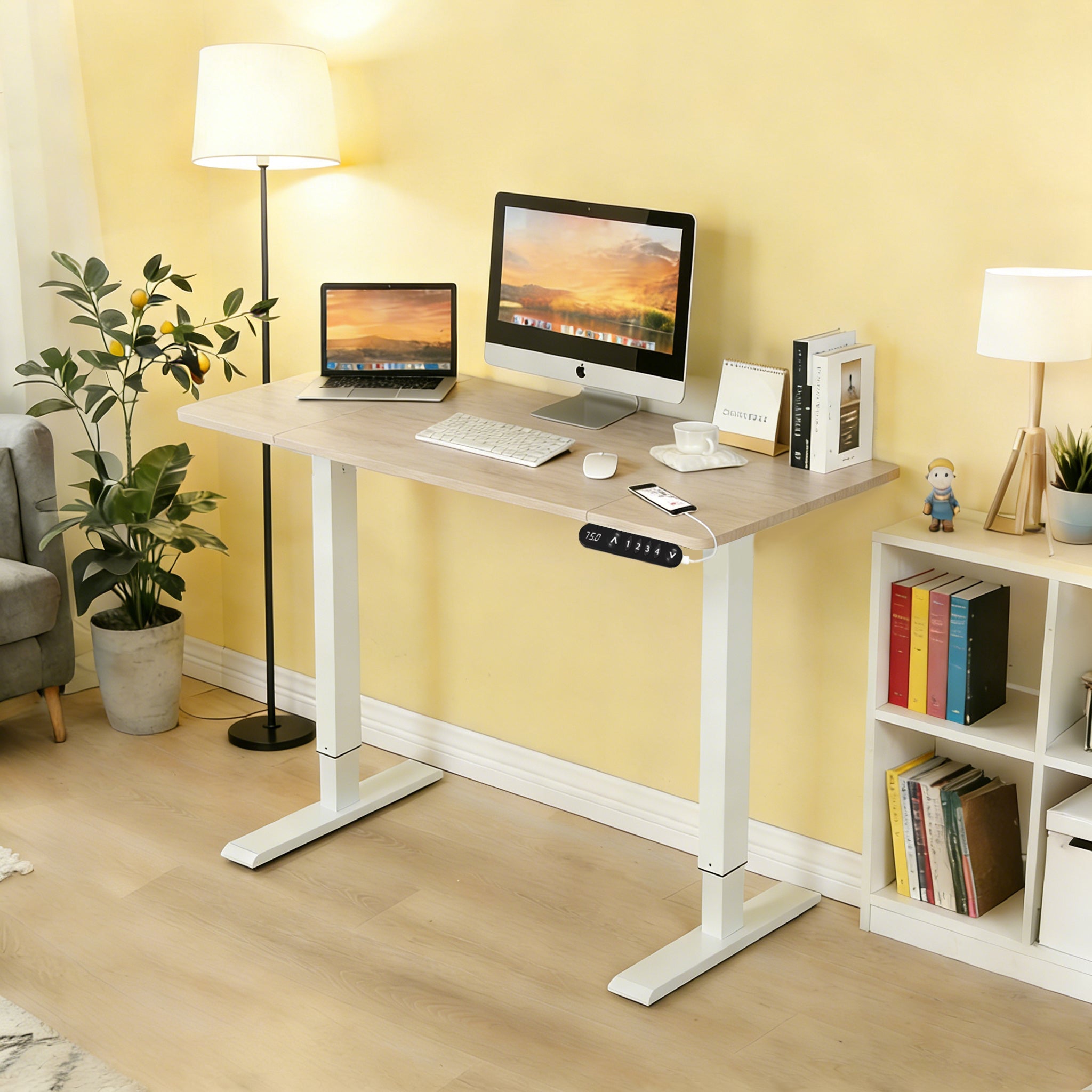 48″×24″ Oak Electric Standing Desk