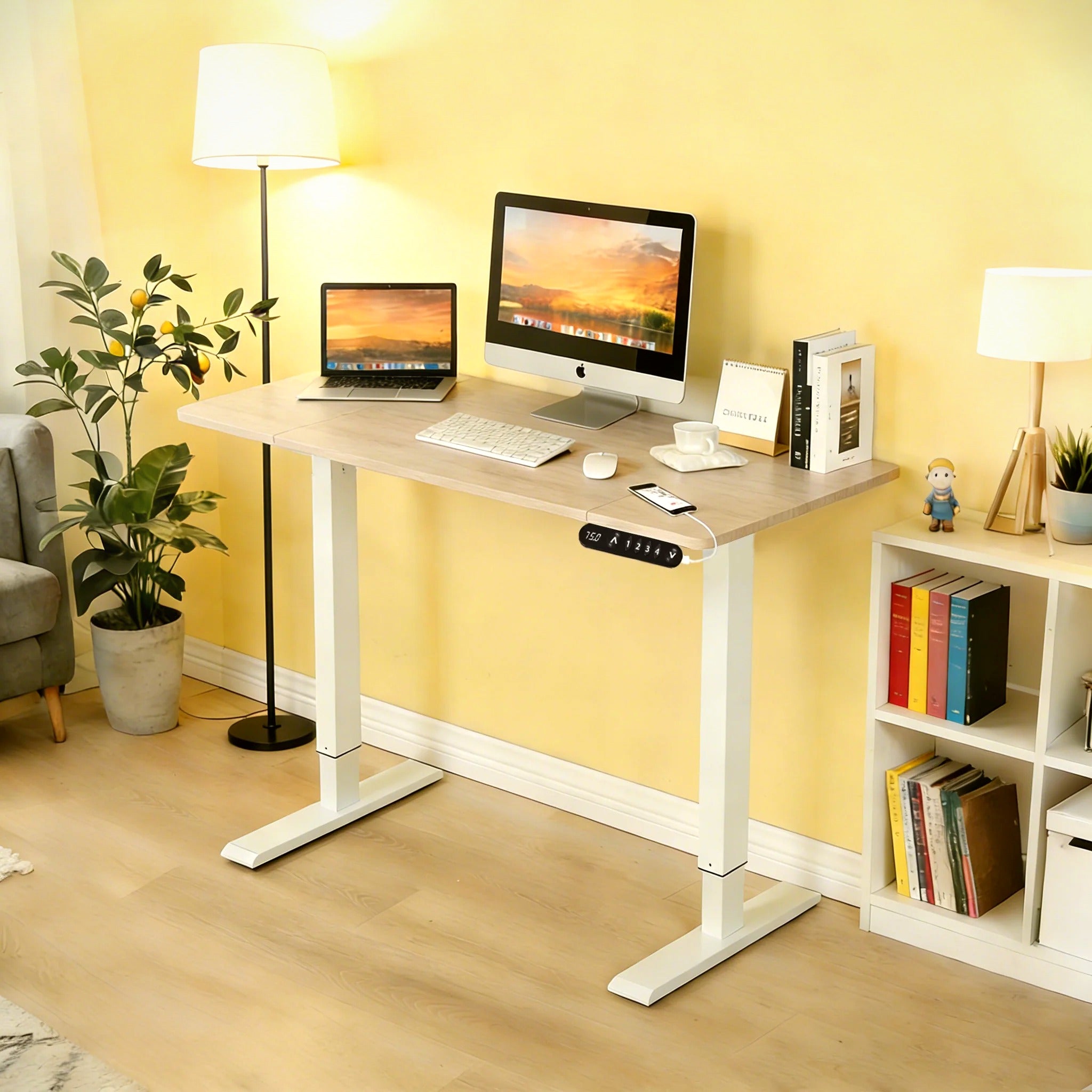 48″×24″ Oak Electric Standing Desk