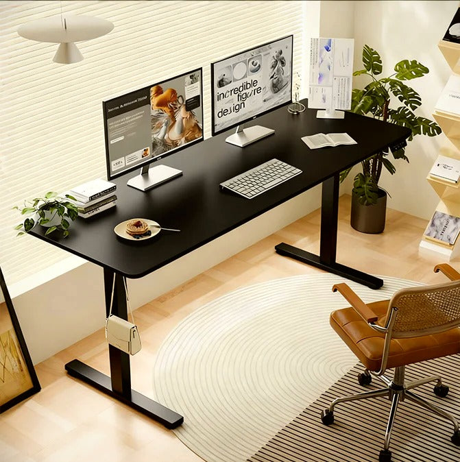 55″×24″ Black Electric Standing Desk